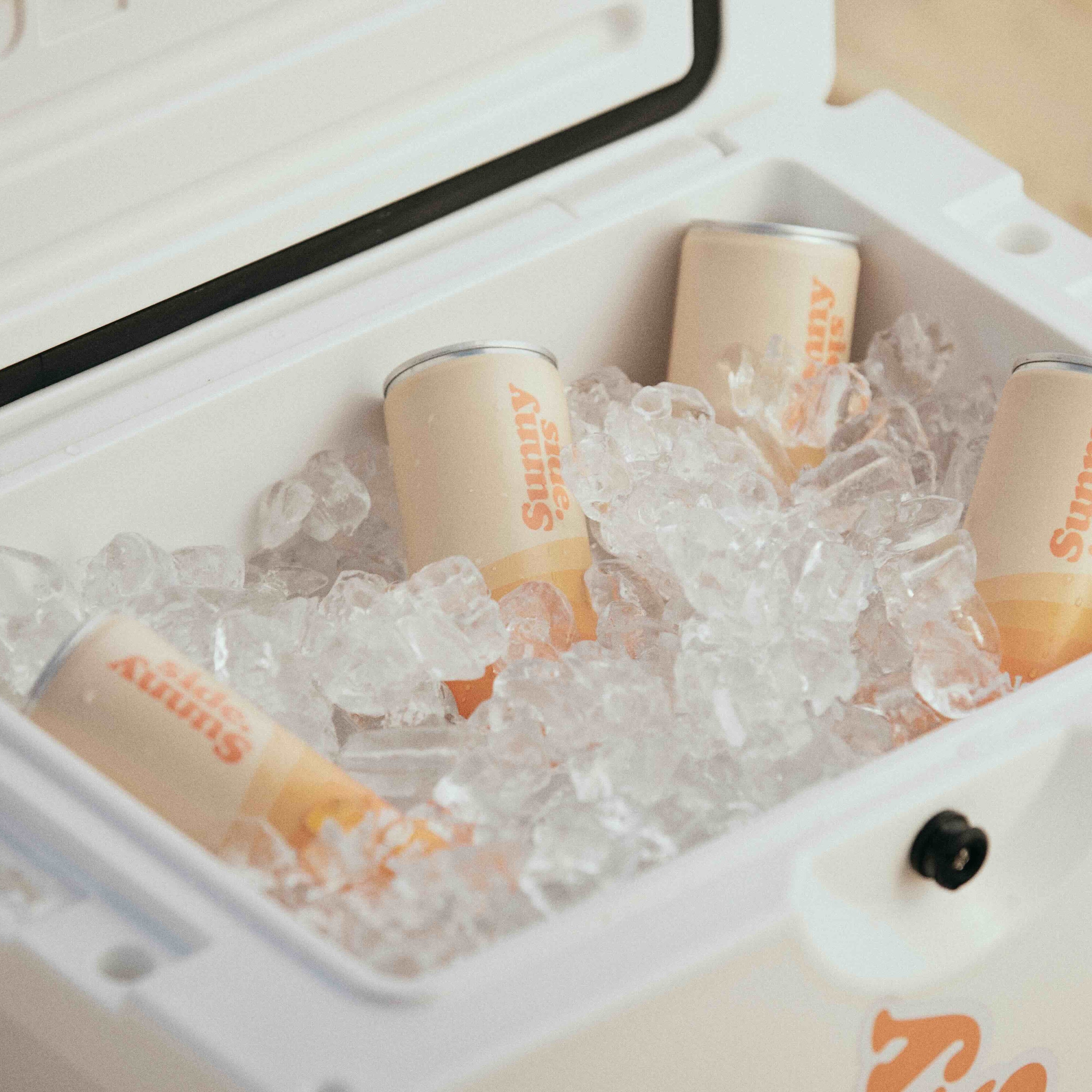 Original Ginger Beer 250ml